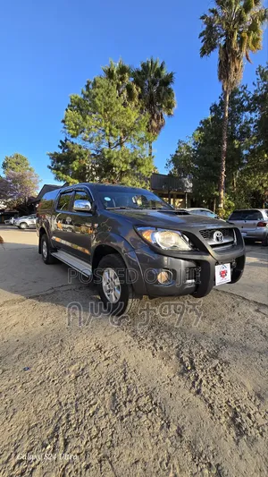 Toyota Hilux 2010 Gray