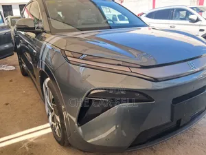 New BYD Tang DM-i 2025 Gray