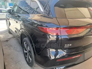 New BYD Tang DM-i 2025 Gray