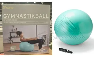 Gym Anti-Burst Gymball 65cm