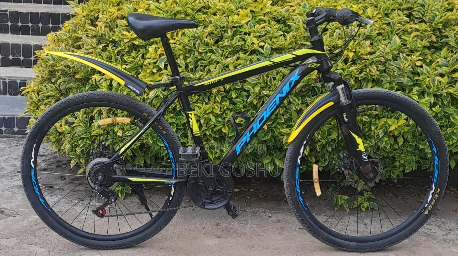 Original Phoniex Bike