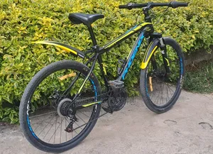 Original Phoniex Bike