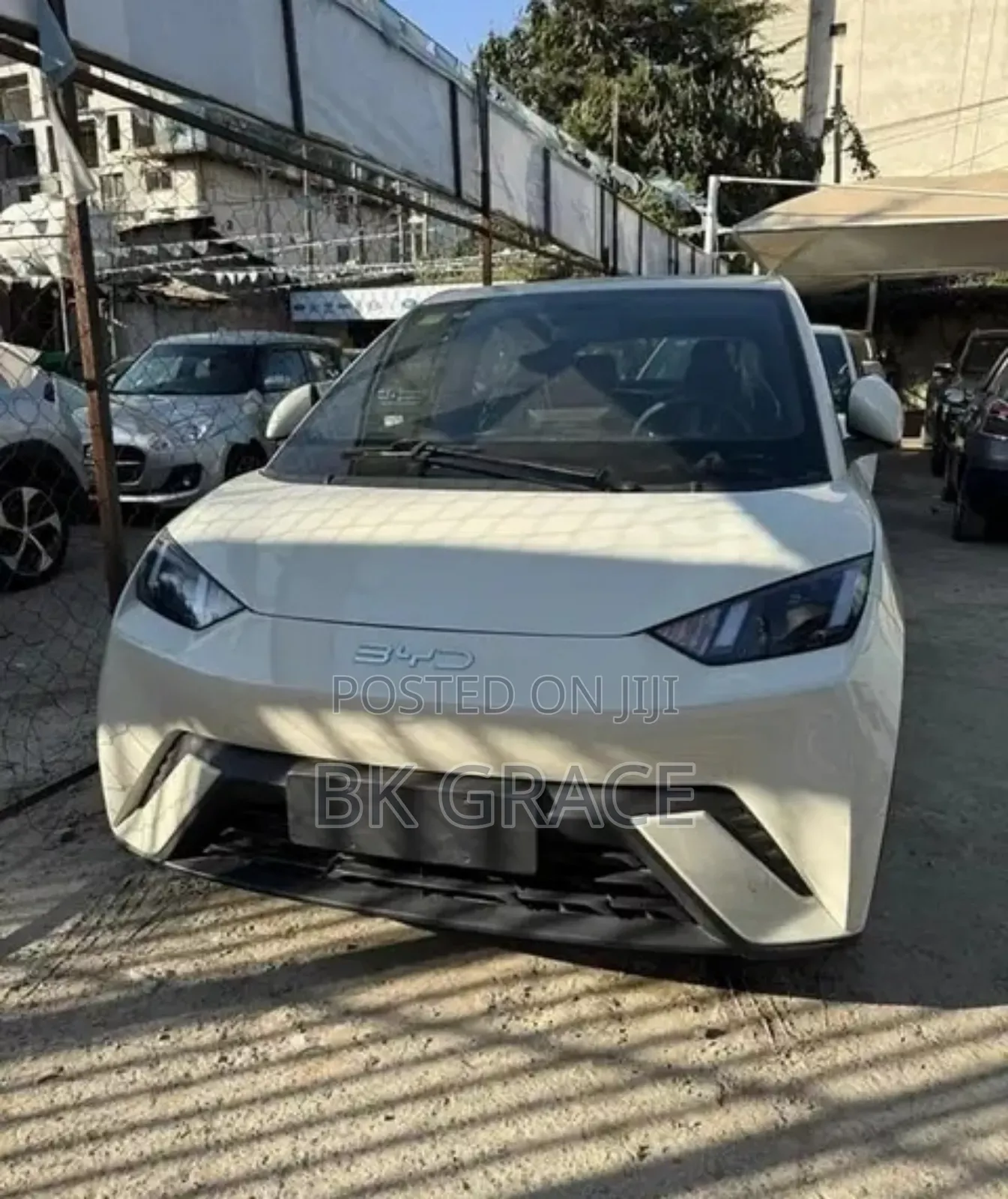 New BYD Seagull 2025 White