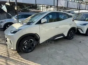 New BYD Seagull 2025 White