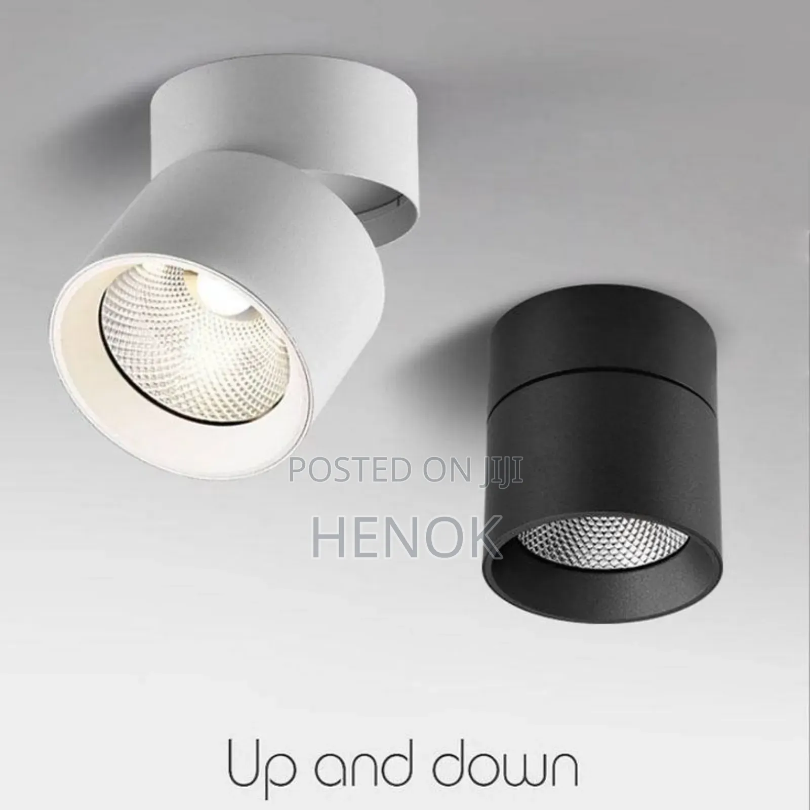 Adjustable Surface Spotligh