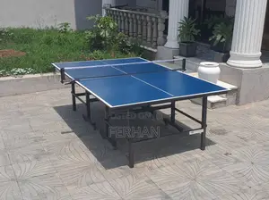 Table Tennis