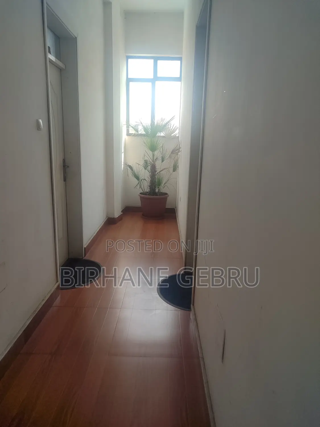 Studio House for Rent