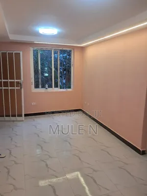 Furnished 1bdrm Condo in Sumit Condominium, Bole for sale