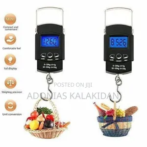 Ortable Electronic Scale ዘመናዊ በኤሌክትሮኒክስ የሚሰራ ሚዛን