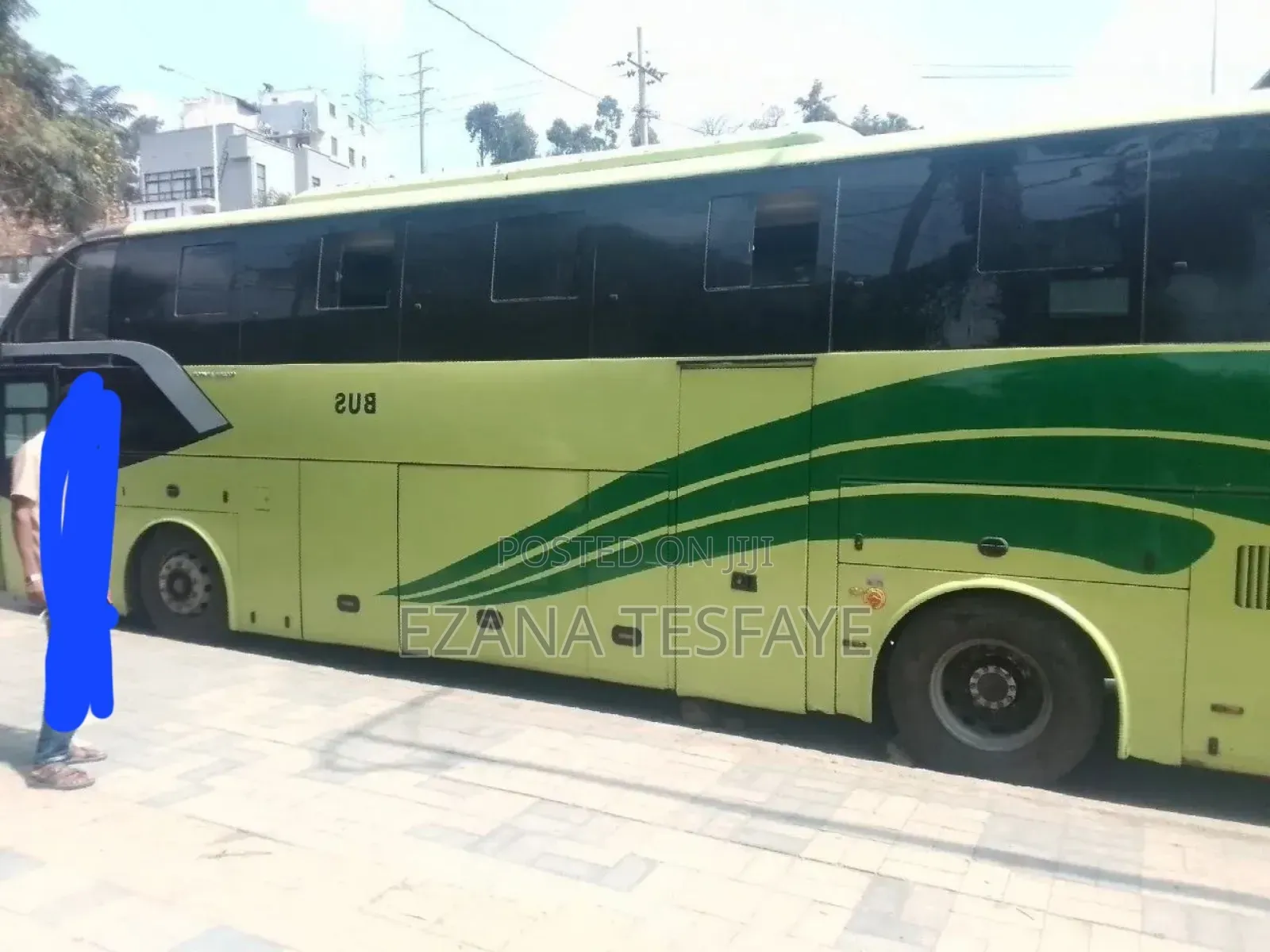 Bus 2019 Green