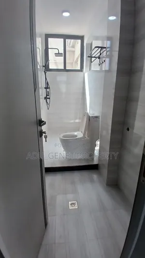 Furnished 3bdrm Apartment in ናህ, Bole for sale