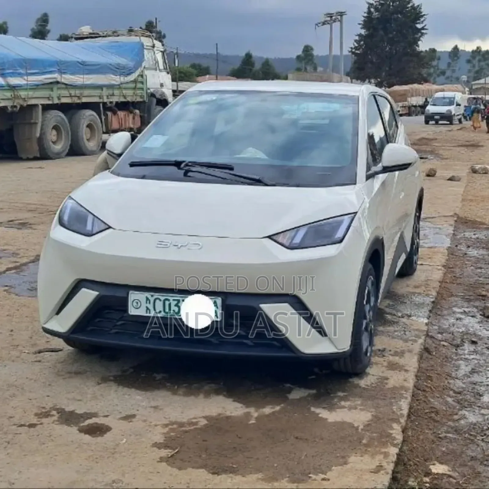 BYD Seagull 2025 White