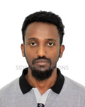 It Accounting Solutions Freelancer