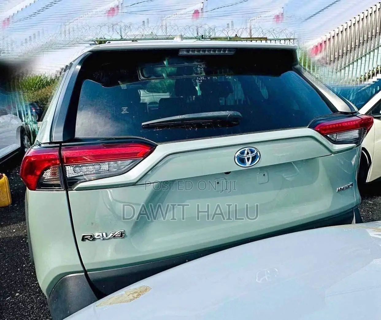 Toyota RAV4 XLE 2022 Green