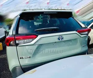 Toyota RAV4 XLE 2022 Green