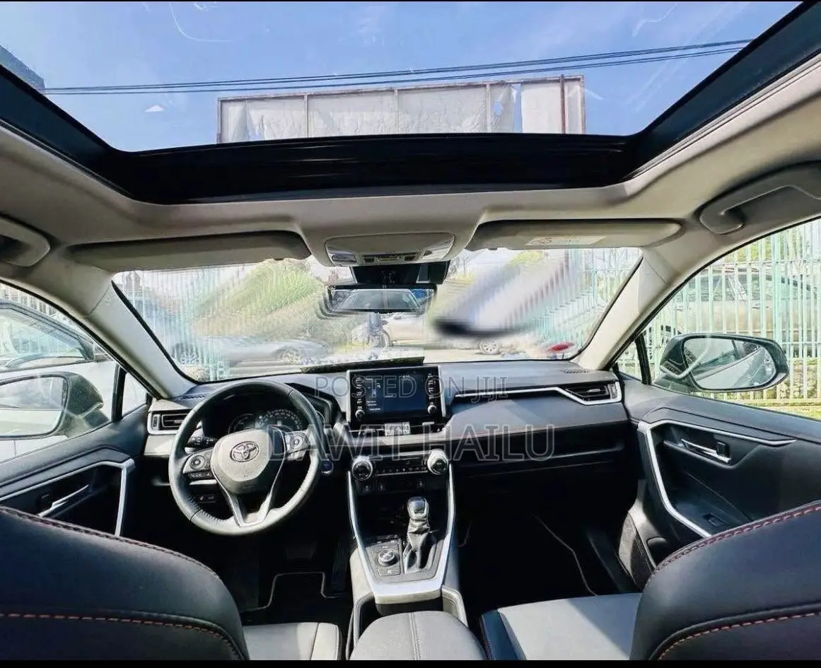 Toyota RAV4 XLE 2022 Green