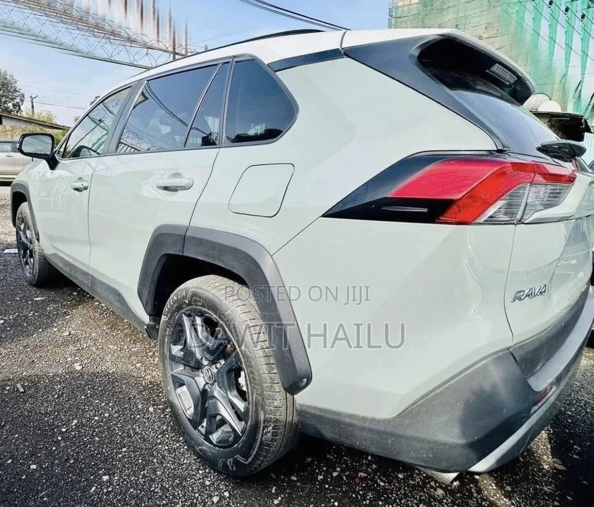 Toyota RAV4 XLE 2022 Green
