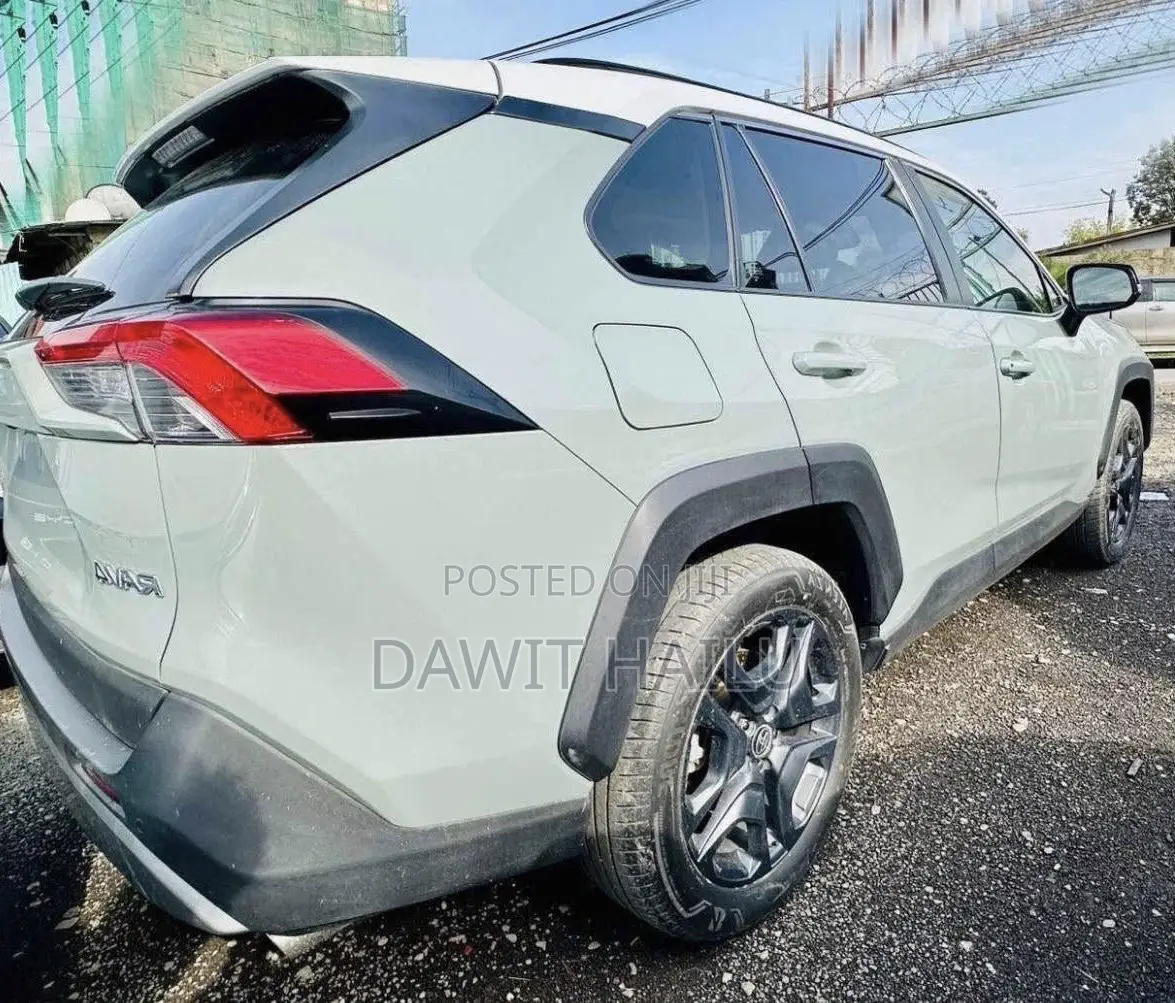 Toyota RAV4 XLE 2022 Green
