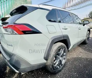 Toyota RAV4 XLE 2022 Green