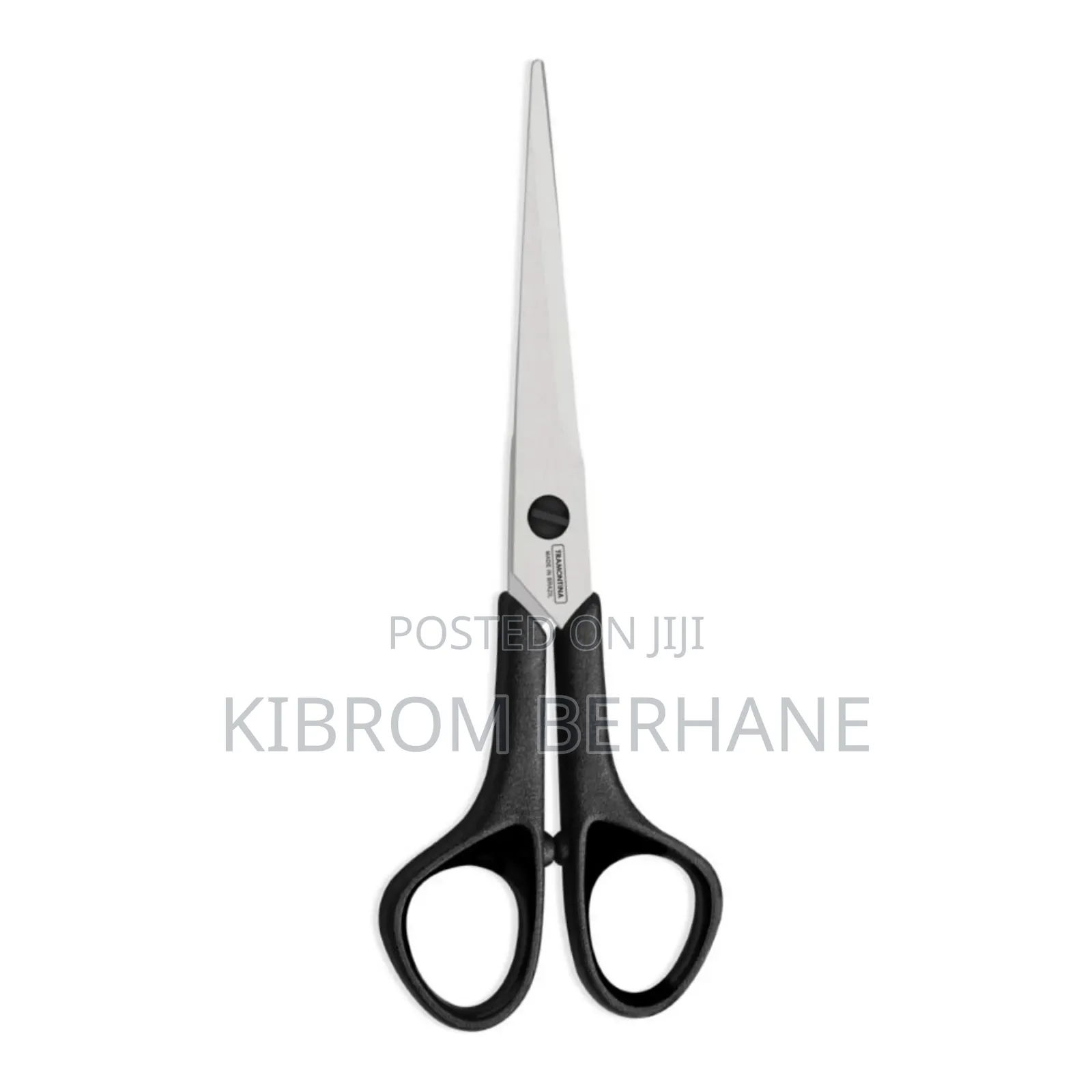 Stainless Steel Scissors