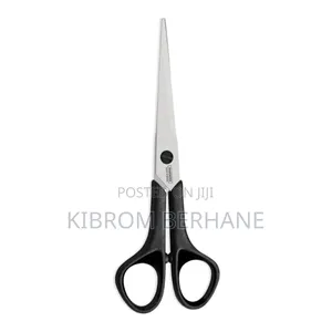 Stainless Steel Scissors