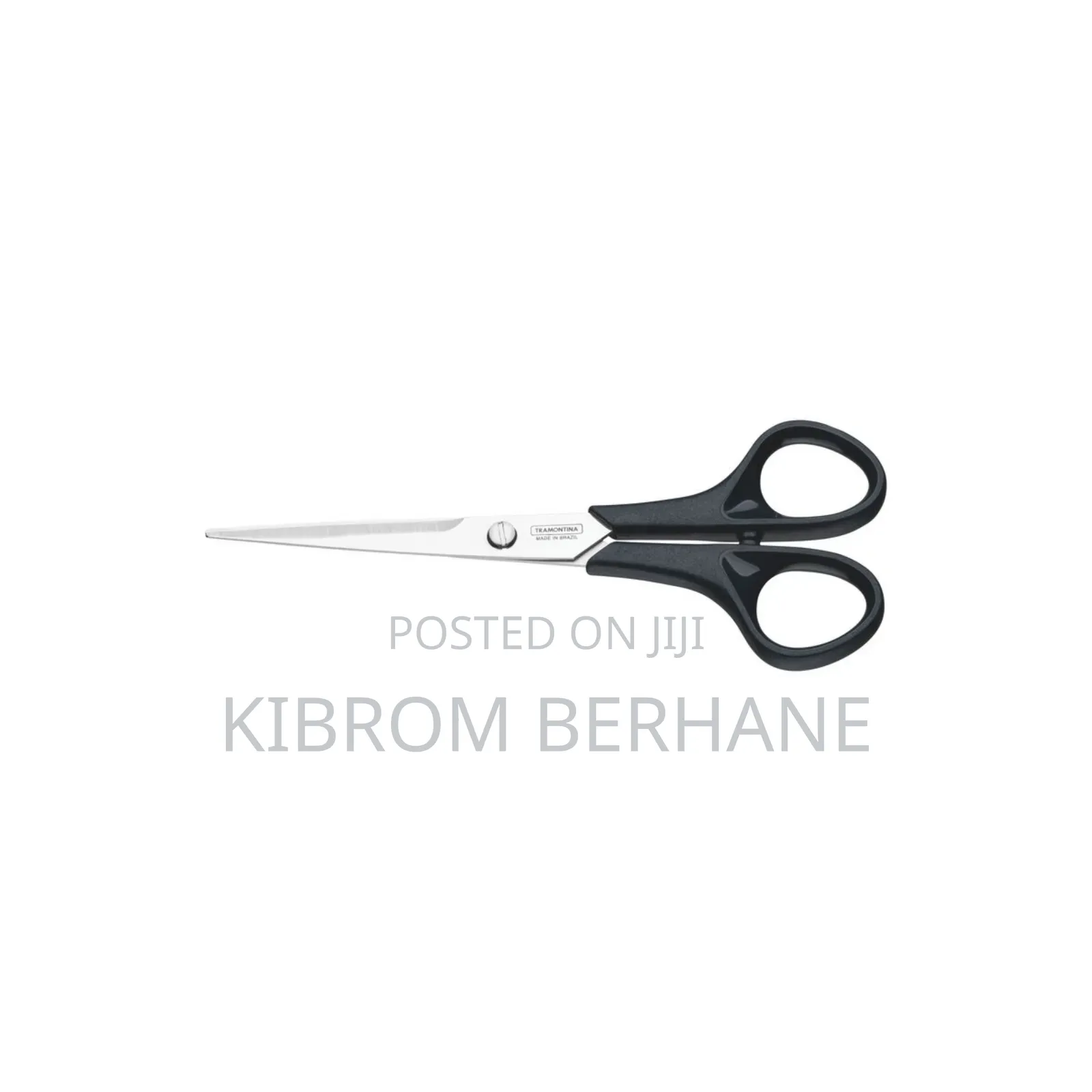 Stainless Steel Scissors