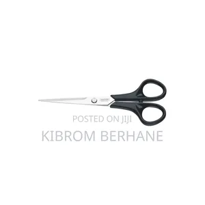 Stainless Steel Scissors