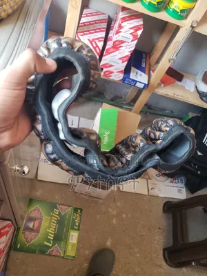 የisuzu እና Obama መሪ ልብስ