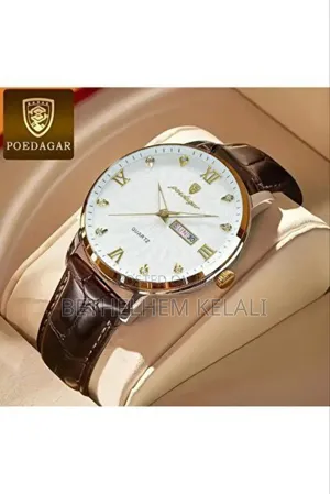 Podygar Watch