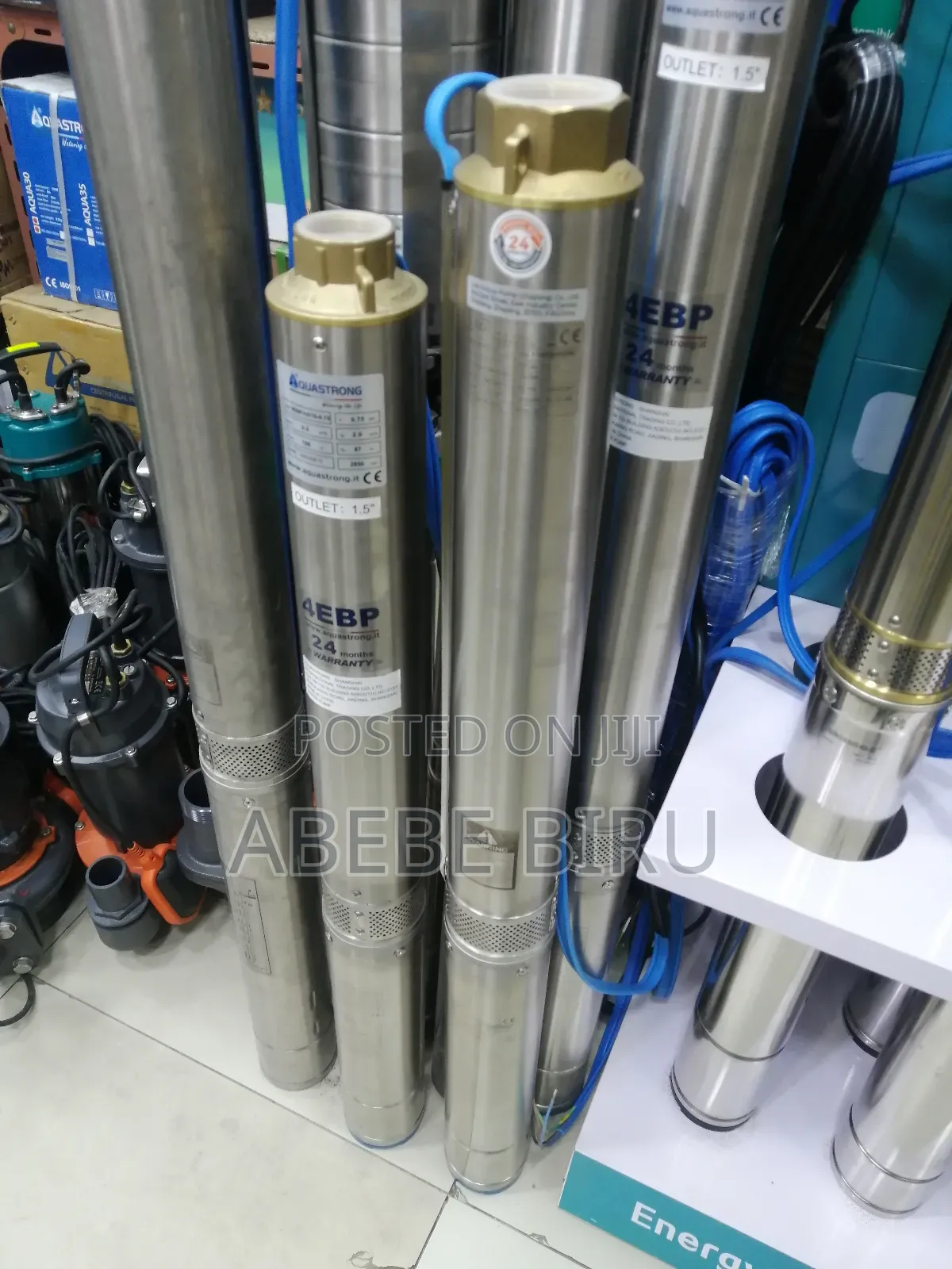 Leo ሸንበቆ ፓንፕ