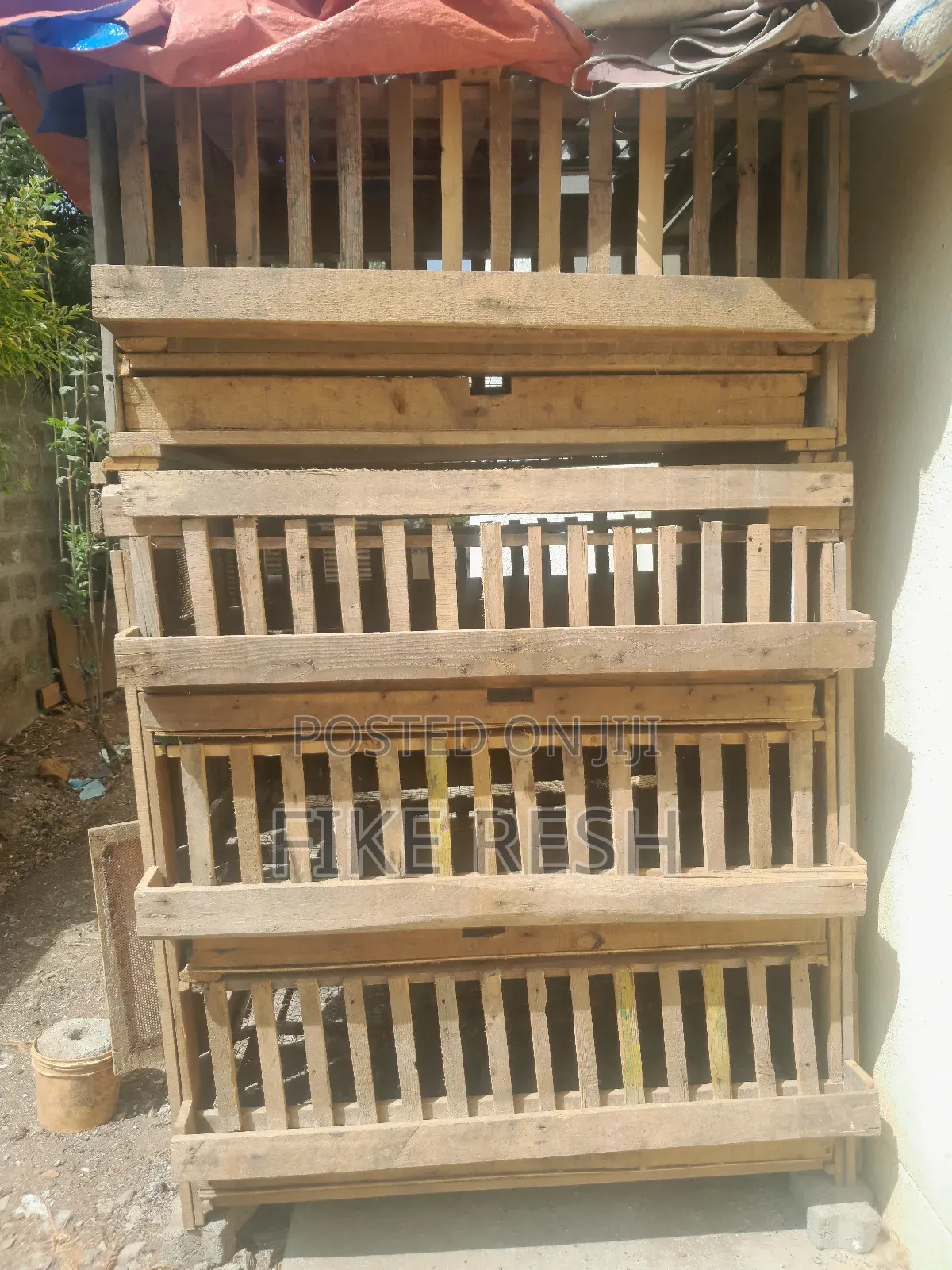 Chicken Cage ( Yedoro Bet )