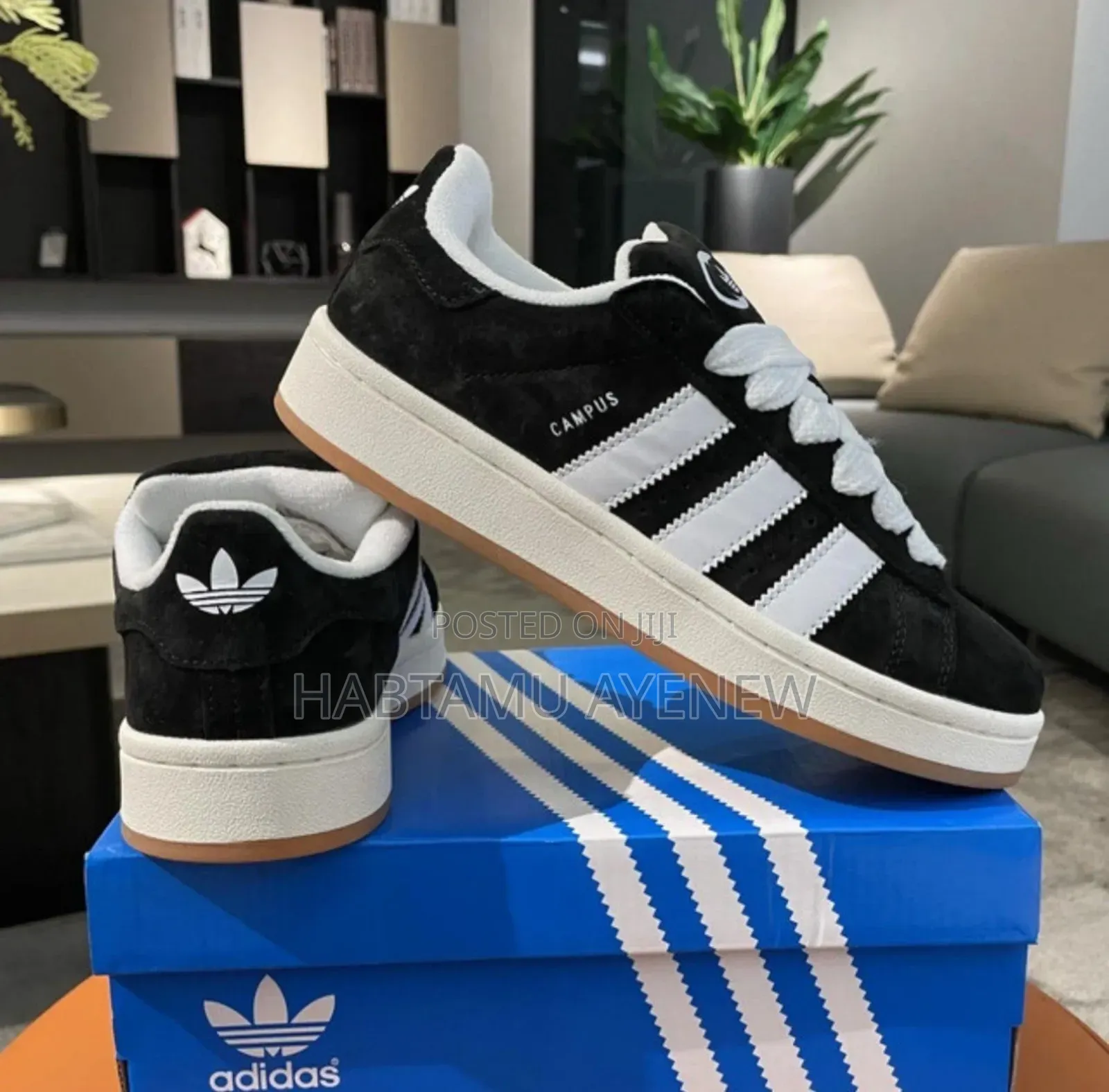 አዲዳስ ካምፓስ Adidass Campus በአንደኛው!