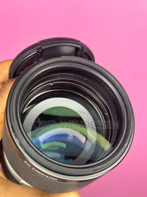 Sony 70-200mm F/2.8 G Master Zebra Lens