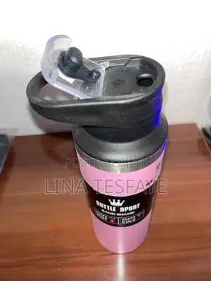 Stanley Water Bottle