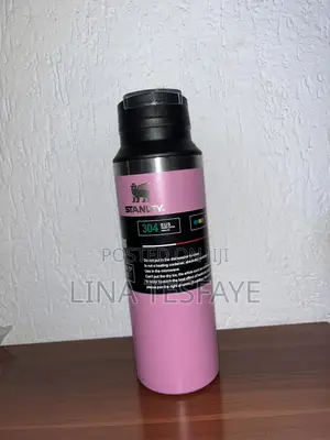 Stanley Water Bottle