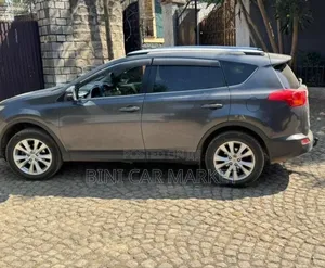 Toyota RAV4 2013 Gray