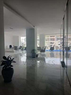 ሱቆችን እና አፓርትመንቶችን እየሸጥን እንገኛለን