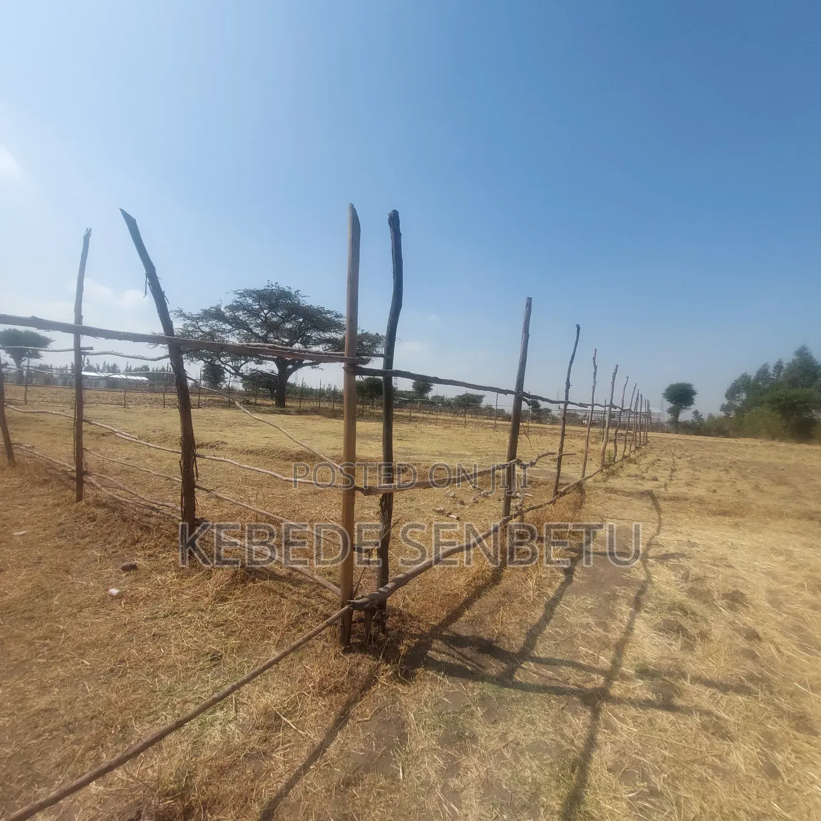 Plot Land for Sale
