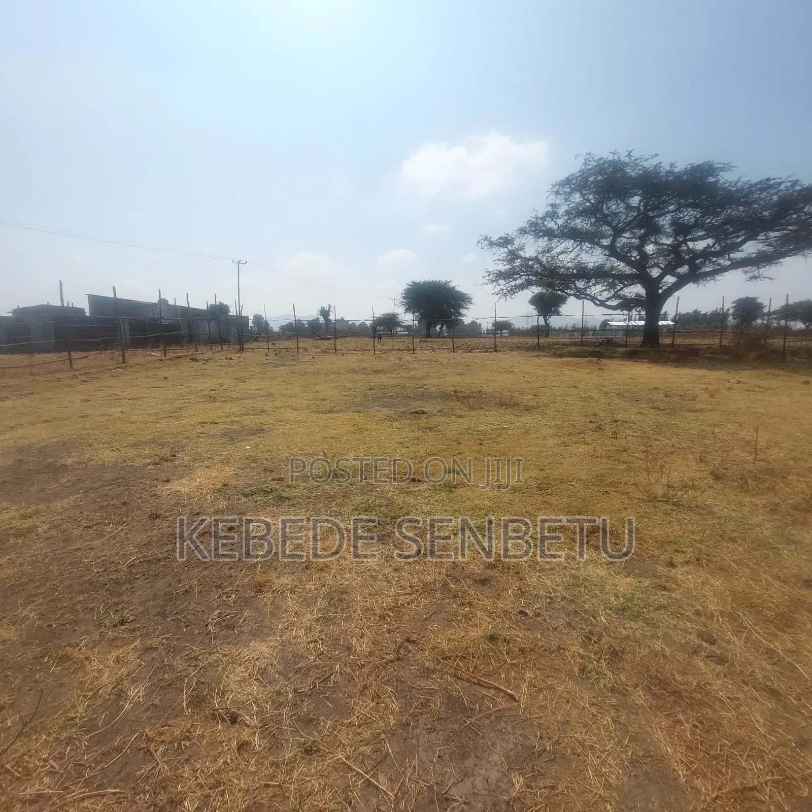 Plot Land for Sale