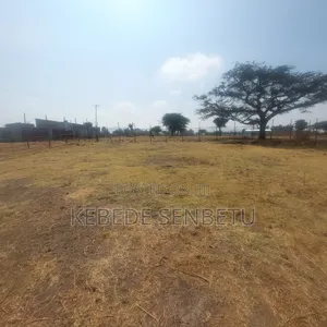 Plot Land for Sale