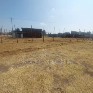 Plot Land for Sale