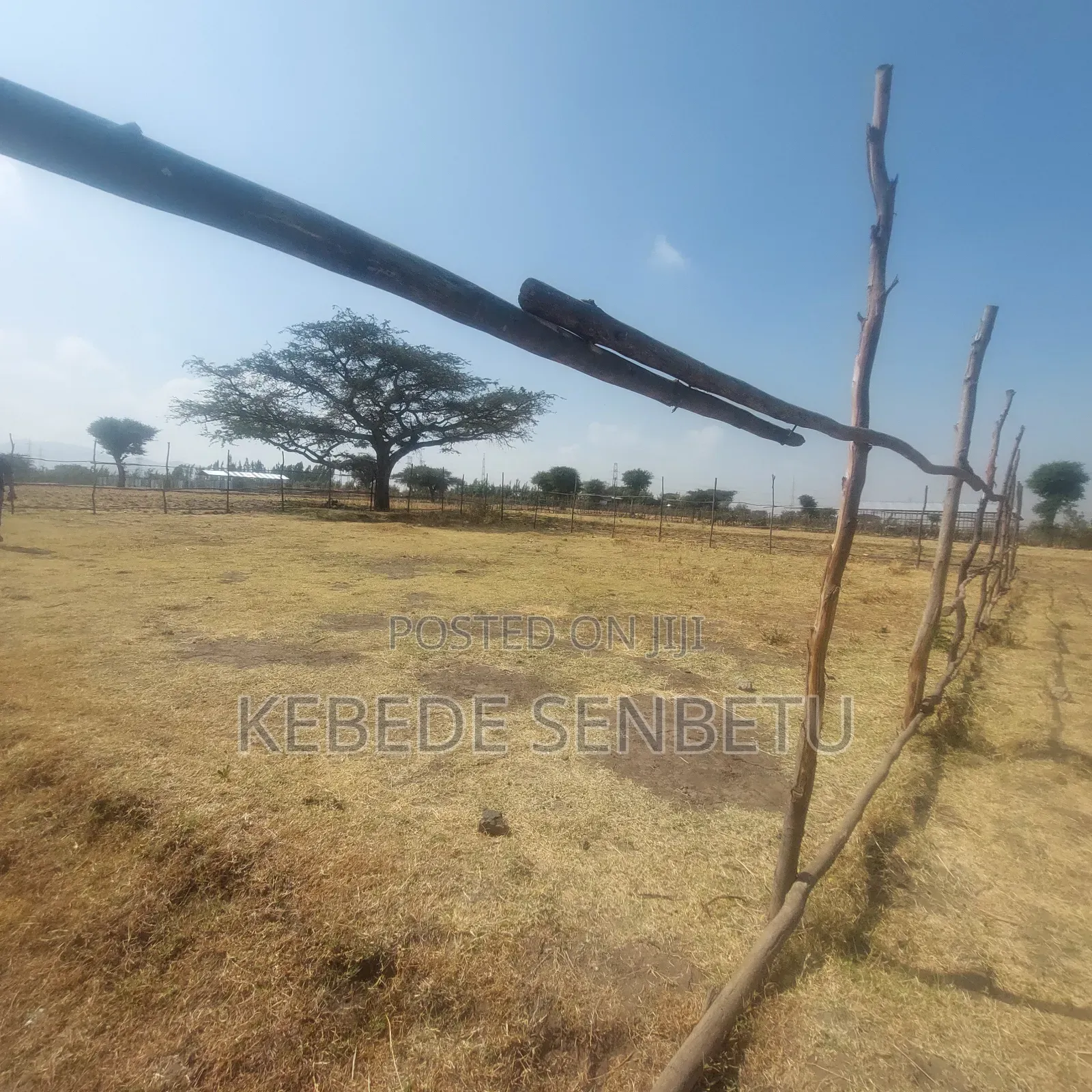 Plot Land for Sale