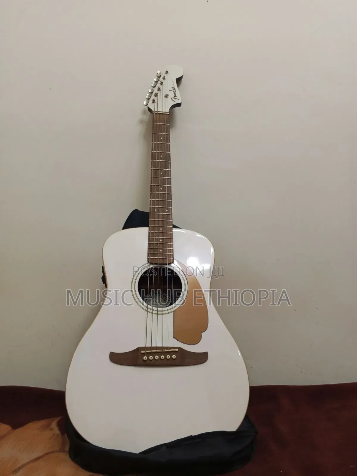 Fender Semi Acoustic Acoustic Guitar