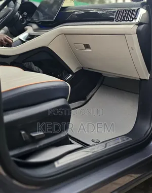 BYD Song Plus 2024 Gray