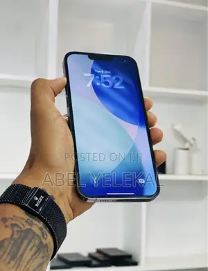 New Apple iPhone 12 Pro Max 256 GB Gray