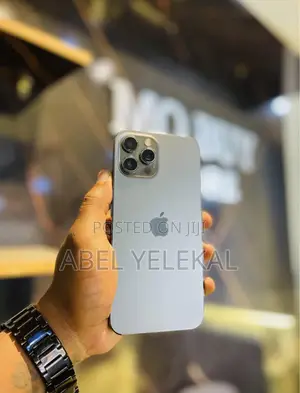 New Apple iPhone 12 Pro Max 256 GB Gray