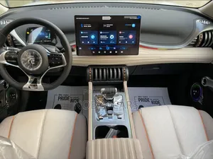 New BYD Yuan Plus 2025 Off white