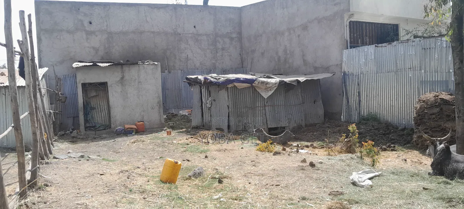 አስቸካይ የሚሸጥ መሬት