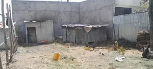 አስቸካይ የሚሸጥ መሬት