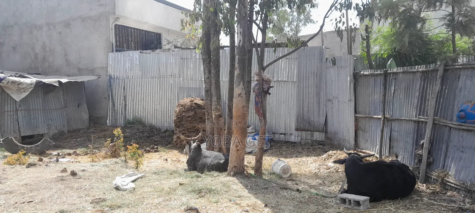 አስቸካይ የሚሸጥ መሬት